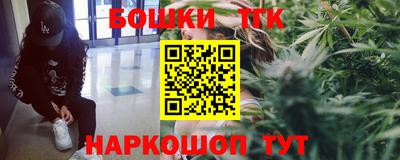 spice Кинель