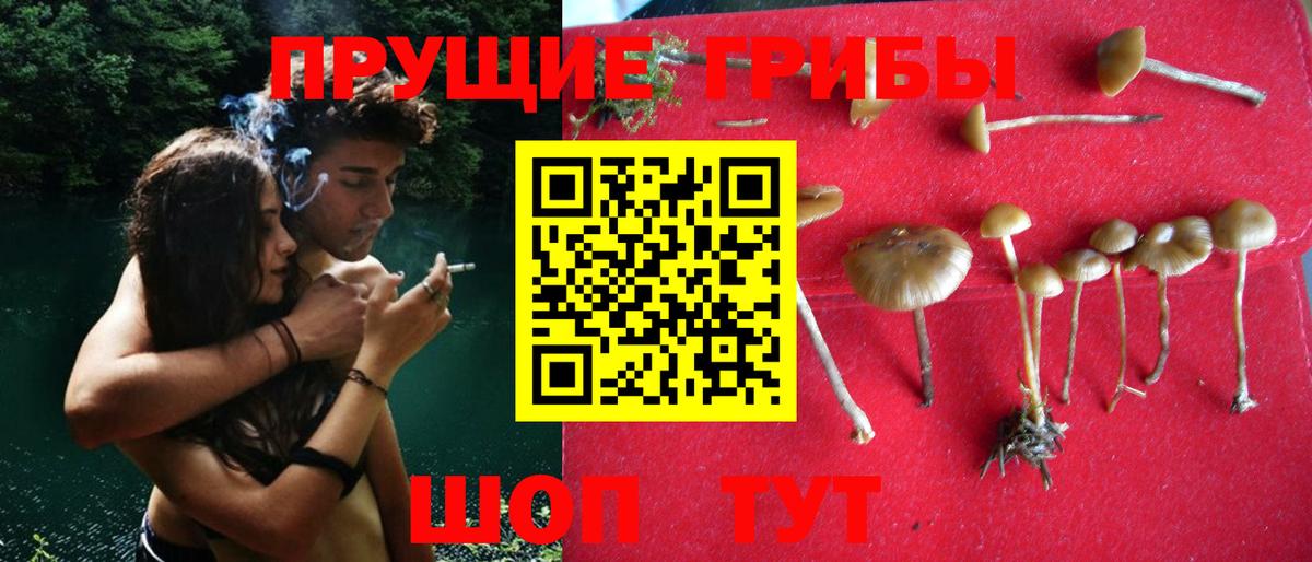 Иваново  Псилоцибиновые грибы GOLDEN TEACHER  Вход с VPN 